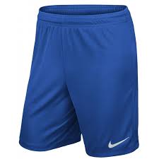 Short Nike 725887-463 Adulte