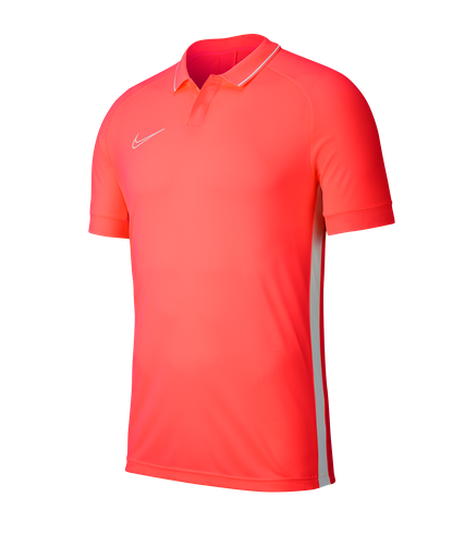 Polo Nike BQ1496-671 Adulte